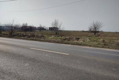 Teren de 5000 mp, în Frumușani - 5