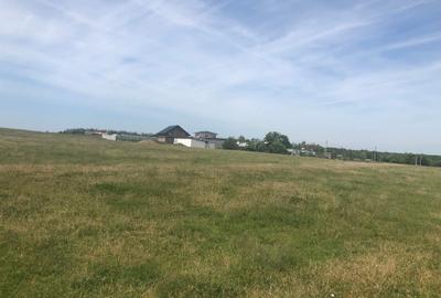 Teren agricol intravilan de 984 mp, în Gostilele - 5