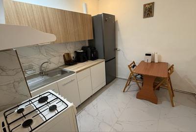 Apartament cu 2 camere decomandat în Iosefin - 2