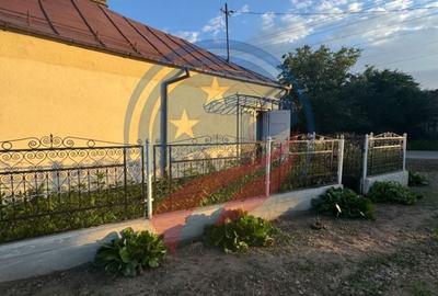 Casă individuală cu 7 camere cu Teren 3300 Mp în Orodel - 21