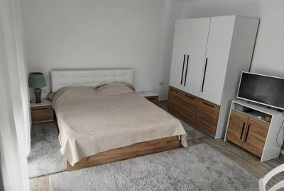 Casă cu 2 camere cu Teren 823 Mp în Rusca - 1
