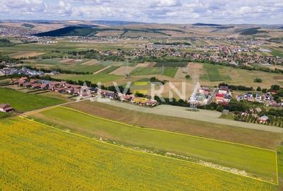 Teren Construcții intravilan de 11600 mp, în Jucu de Sus - 5