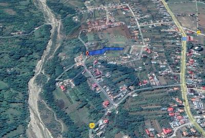 Teren Construcții intravilan de 4733 mp, în Drajna de Jos - 2