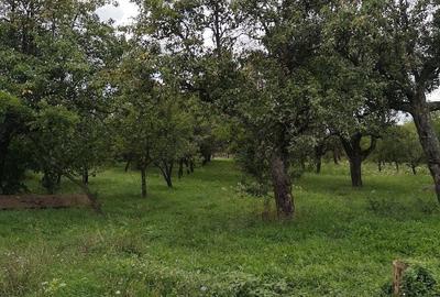 Teren în Dealu - 5