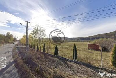 Teren de 26908 mp, în Iedera - 5