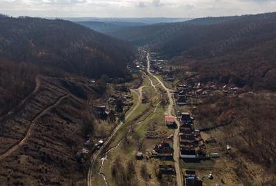 Teren de 302 mp, în Șoimoș - 4