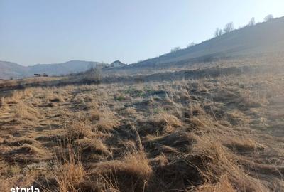 Teren de 3000 mp, în Curtești - 2