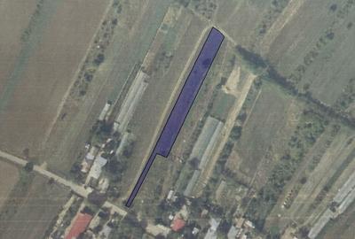 Teren de 2500 mp, în Dărăști-Vlașca - 1