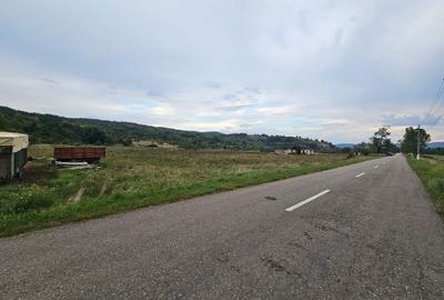 Teren Construcții intravilan de 47430 mp, în Petriș - 3