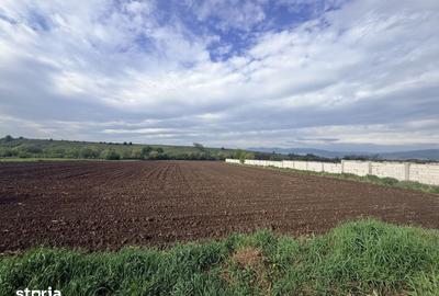 Teren de 17592 mp, în Central - 8