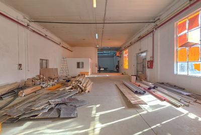 Spațiu industrial, de 5,211 mp, în Turnu Măgurele - 8