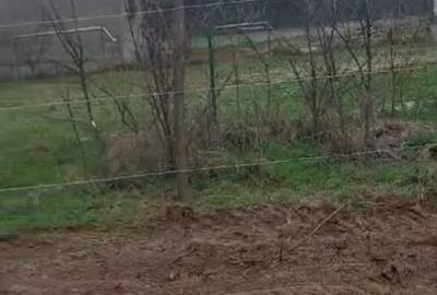 Teren Construcții intravilan de 900 mp, în Comana - 8