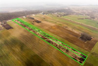 Teren Construcții intravilan de 13041 mp, în Burzuc - 10