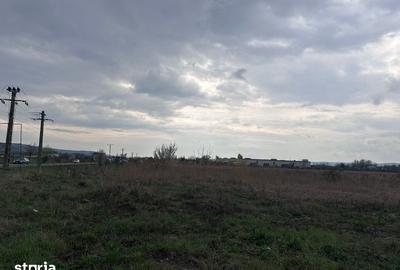 Teren de 26112 mp, în Ernei - 2