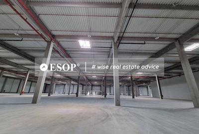 Spațiu industrial, de 7,000 mp, în Sud - 3