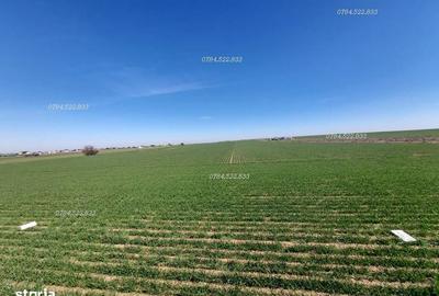 Teren de 500 mp, în Berceni - 3