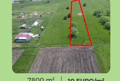 Teren extravilan de 7800 mp, în Nord-Est