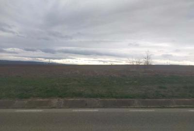 Teren de 5000 mp, în Central - 1