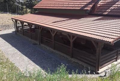 Casă cu 6 camere decomandat cu Teren 19200 Mp în Creaca - 11