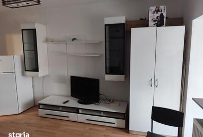 Garsonieră în Valea Borcutului