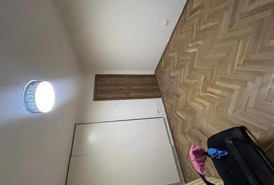 Apartament cu 3 camere decomandat, mobilat în Lăpuș Argeș - 3