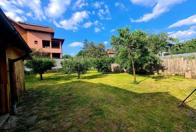 Casă cu 10 camere cu Teren 781 Mp în Cartierul Traian - 10