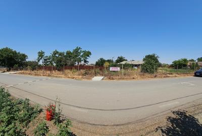 Teren Construcții intravilan de 5465 mp, în Topraisar - 11