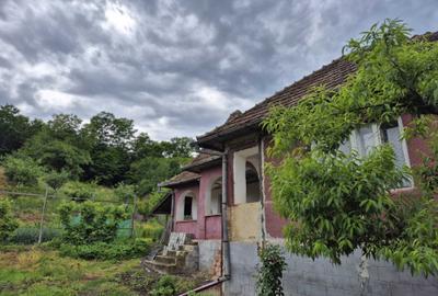 Casă cu 3 camere decomandat în Măhal - 5