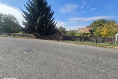 Teren de 15000 mp, în Mureșeni