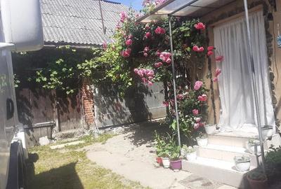 Casă cu Teren 635 Mp în Ocoliș