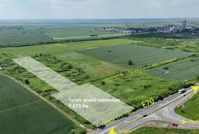 Teren de 10750 mp, în Pădurani - 1