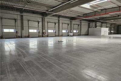 Spațiu industrial, de 9,500 mp, în Industrial Vest - 11