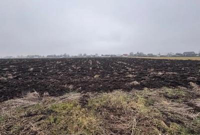 Teren de 3800 mp, în Frătăuții Vechi - 2