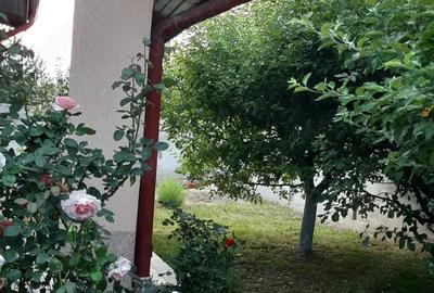 Casă cu 5 camere cu Teren 550 Mp în Central - 10
