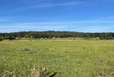 Teren de 5400 mp, în Sânpetru
