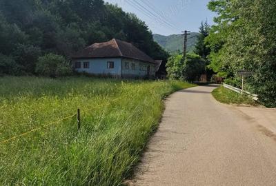 Teren de 1981 mp, în Ormindea - 5