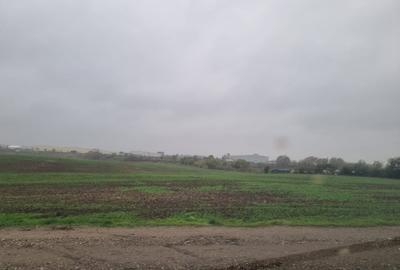 Teren în Pantelimon - 2