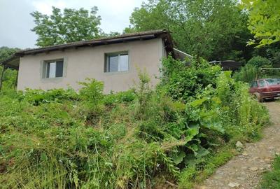 Casă cu 2 camere cu Teren 7650 Mp în Central