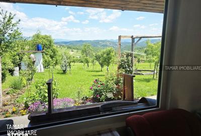 Casă cu 2 camere cu Teren 8800 Mp în Gurahonț - 9