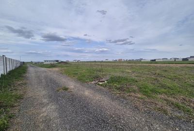 Teren Construcții intravilan de 1070 mp, în Dragomirești-Vale - 2
