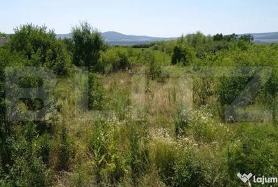 Teren de 3500 mp, în Central