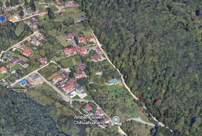 Teren de 1000 mp, în Dârste - 2