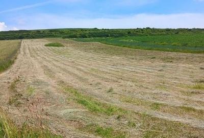 Teren de 8000 mp, în Aiton - 1