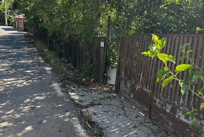Casă cu 3 camere în Naipu - 5