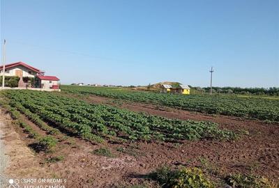 Teren de 500 mp, în Central - 1
