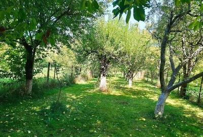 Casă cu 4 camere în Coman