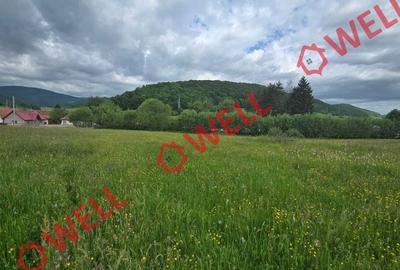 Teren de 4721 mp, în Barcani