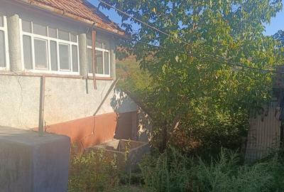Casă cu 2 camere cu Teren 6512 Mp în Cricău