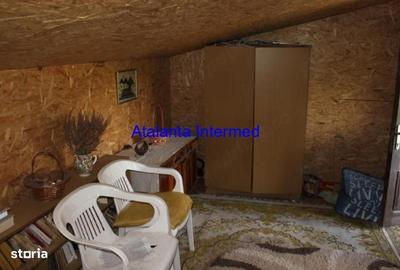 Casă cu 2 camere în Viișoara - 8
