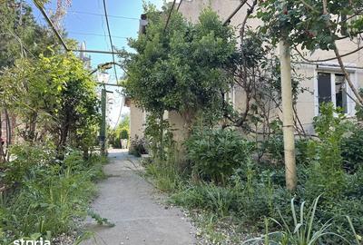 Casă cu Teren 954 Mp în Iosefin - 6